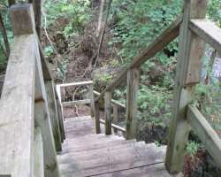 It is a perfect picnic spot having facilities like washrooms, hiking and mountain bike areas, visitors? information center, and much more.